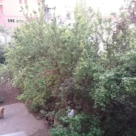 Penzion Casa Perlar *