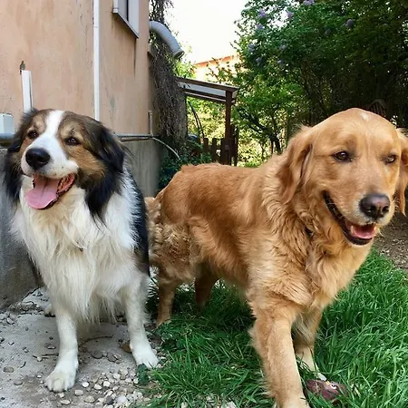 Casa Perlar * Βερόνα