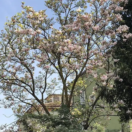 Casa Perlar Πανσιόν Βερόνα
