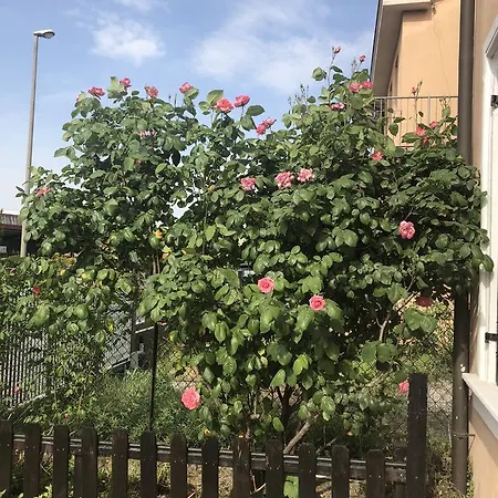 Penzion Casa Perlar